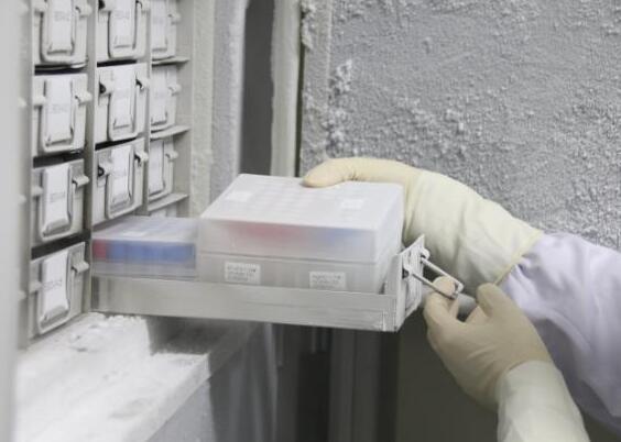 微生物菌种保存方法--80℃冰箱冻结法