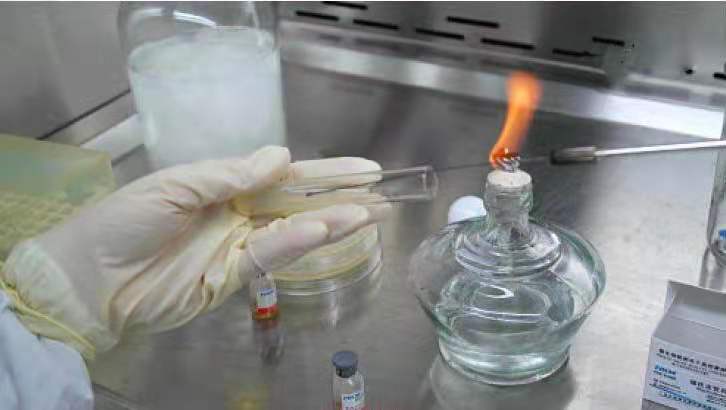 定期移植法微生物菌种保存方法-定期移植法