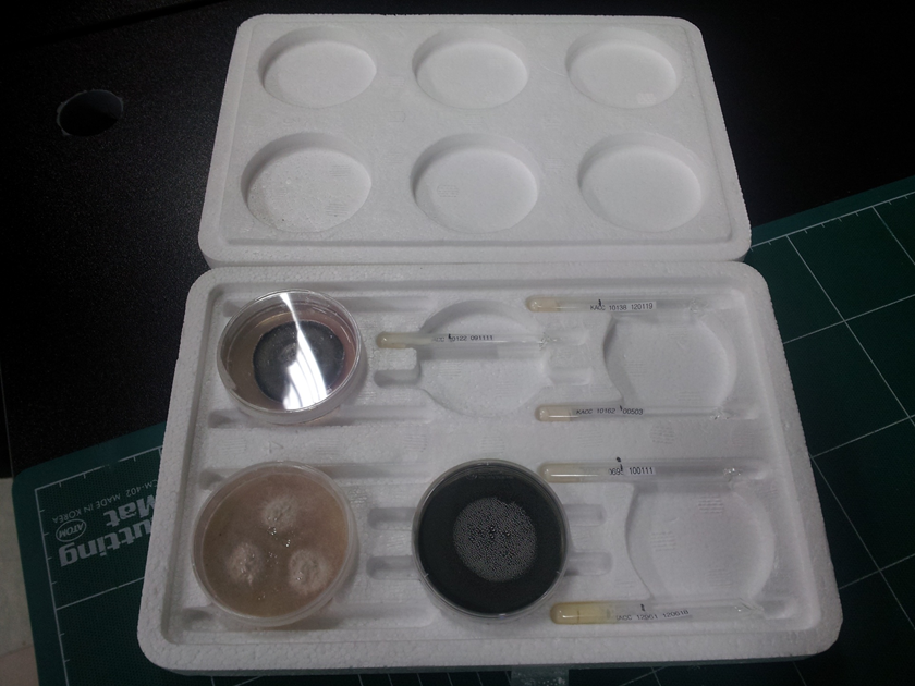 /jishuzhishi/81.html