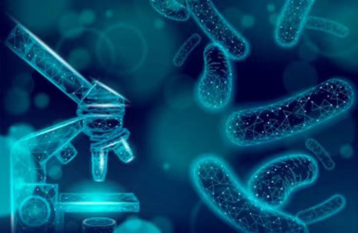 /jishuzhishi/83.html