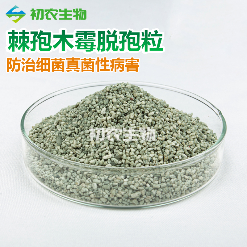 棘孢木霉脱孢粒（木霉类）