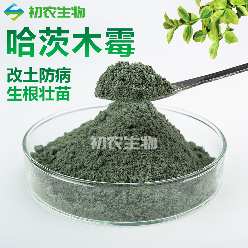 哈茨木霉（木霉类）