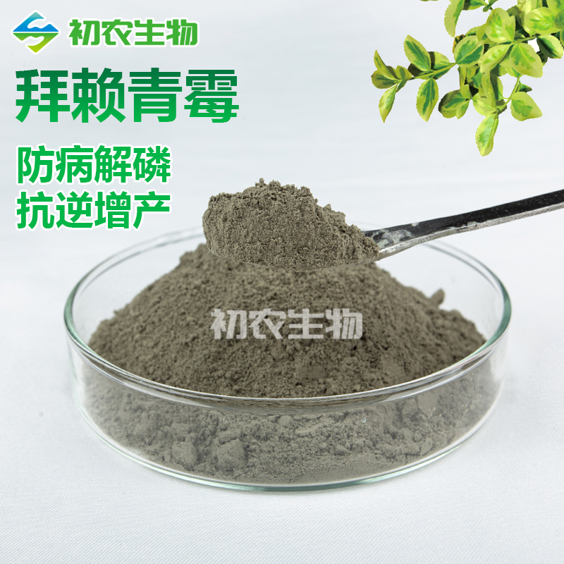 拜赖青霉（青霉类）