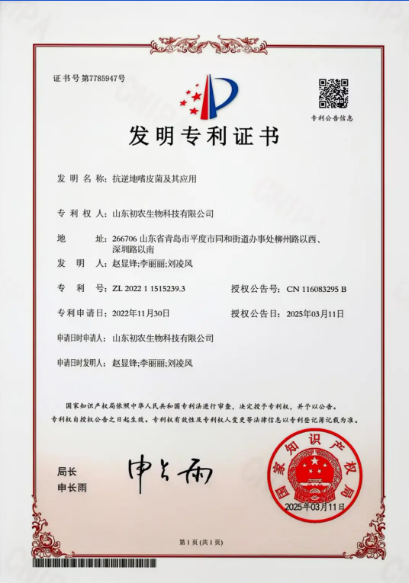 抗逆地嗜皮菌：初农生物解锁生态修复的“新钥匙”专利技术