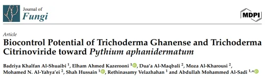 侧钩木霉和橘绿木霉有效抑制瓜果腐霉