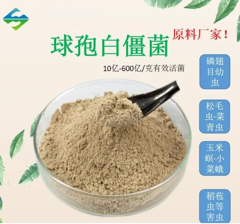 古法农作体系升级实践：微生物技术助力农业文化遗产地生态转型